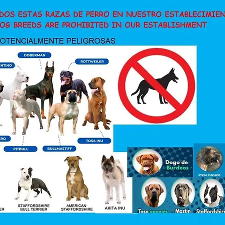 Apartment Plaza Longoria-oviedo Centro Oviédo