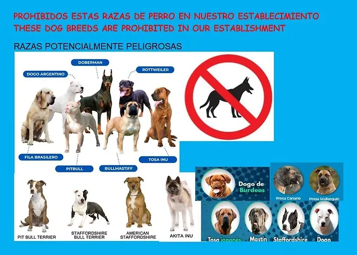 شقة Plaza Longoria-oviedo Centro اوفيدو